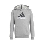 adidas Big Logo 2 Hoody